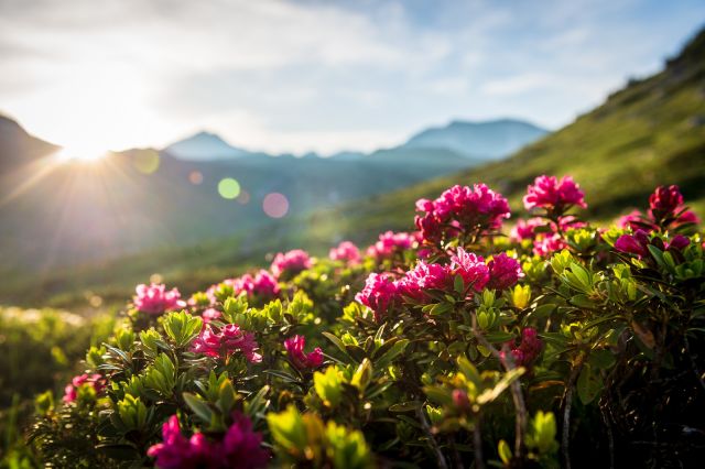 Image: Hikes in Val Badia